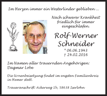 Traueranzeige von Rolf-Werner Schneider von Salzgitter Zeitung