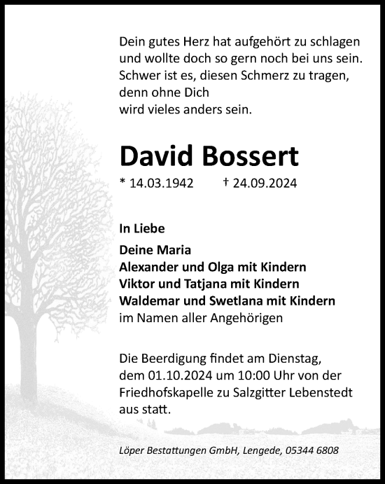 Traueranzeige von David Bossert von Salzgitter-Zeitung