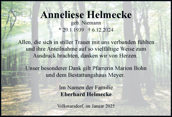 Traueranzeige von Anneliese Helmecke 