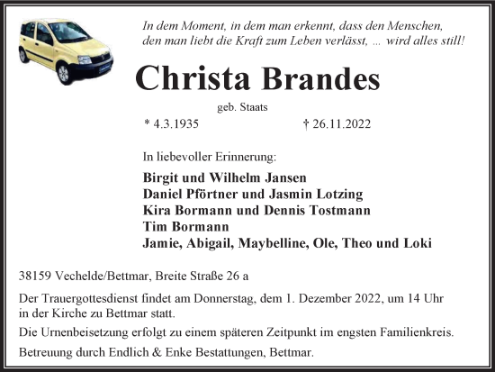 Traueranzeige von Christa Brandes von Peiner Nachrichten