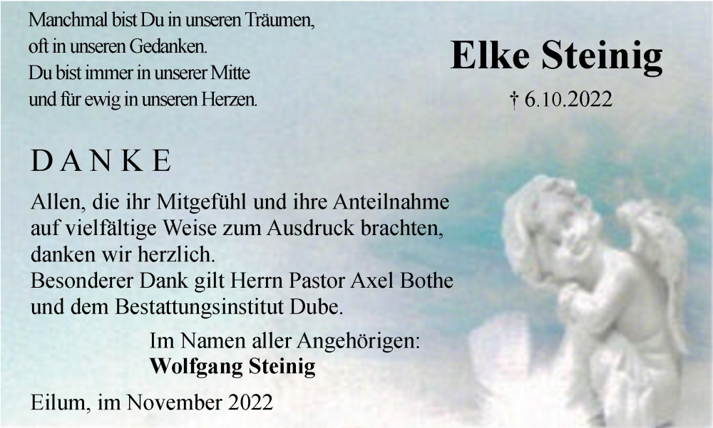 Traueranzeige für Elke Steinig vom 12.11.2022 aus Braunschweiger Zeitung