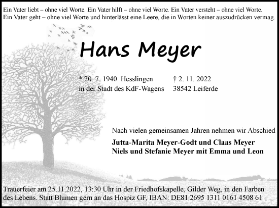 Traueranzeige von Hans Meyer von Wolfsburger Nachrichten