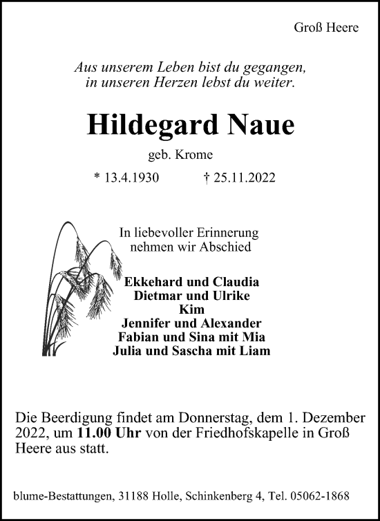 Traueranzeige von Hildegard Naue von Salzgitter-Zeitung