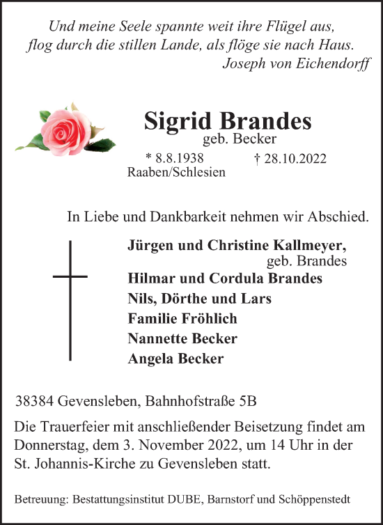 Traueranzeige von Sigrid Brandes von Wolfenbütteler Zeitung