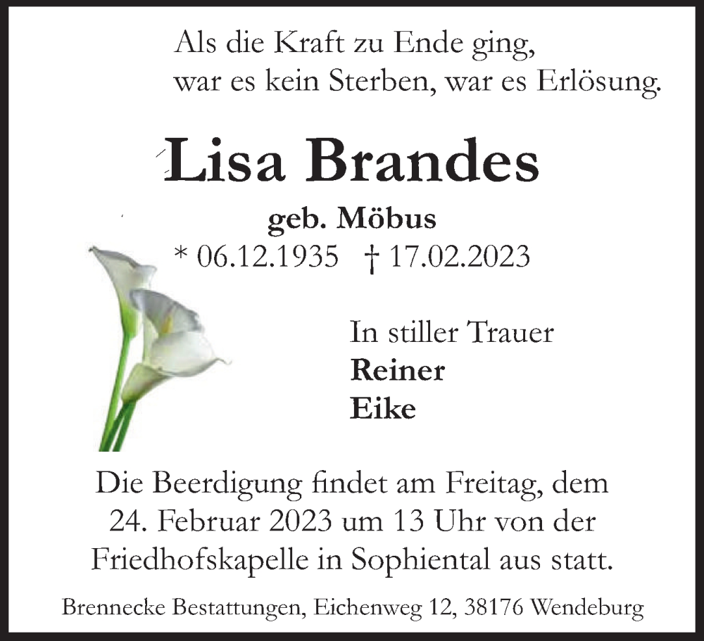  Traueranzeige für Lisa Brandes vom 21.02.2023 aus Peiner Nachrichten