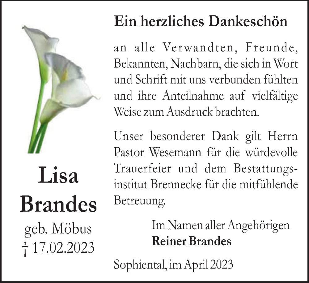  Traueranzeige für Lisa Brandes vom 01.04.2023 aus Peiner Nachrichten