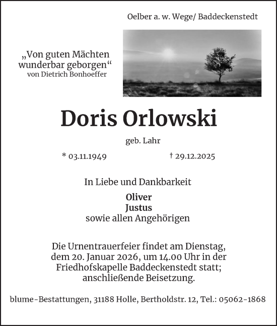 Traueranzeige von Doris Orlowski von Salzgitter-Zeitung
