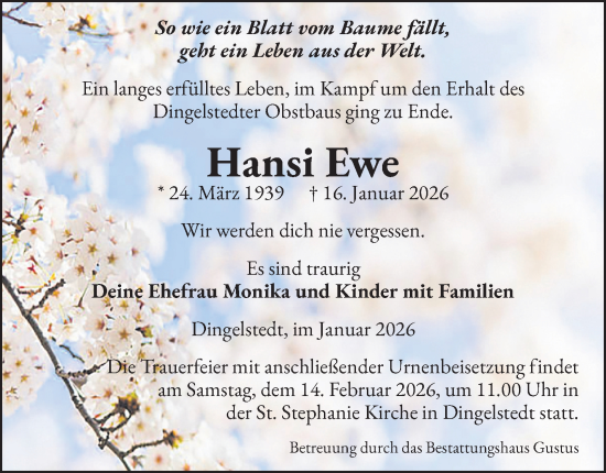 Traueranzeige von Hansi Ewe 